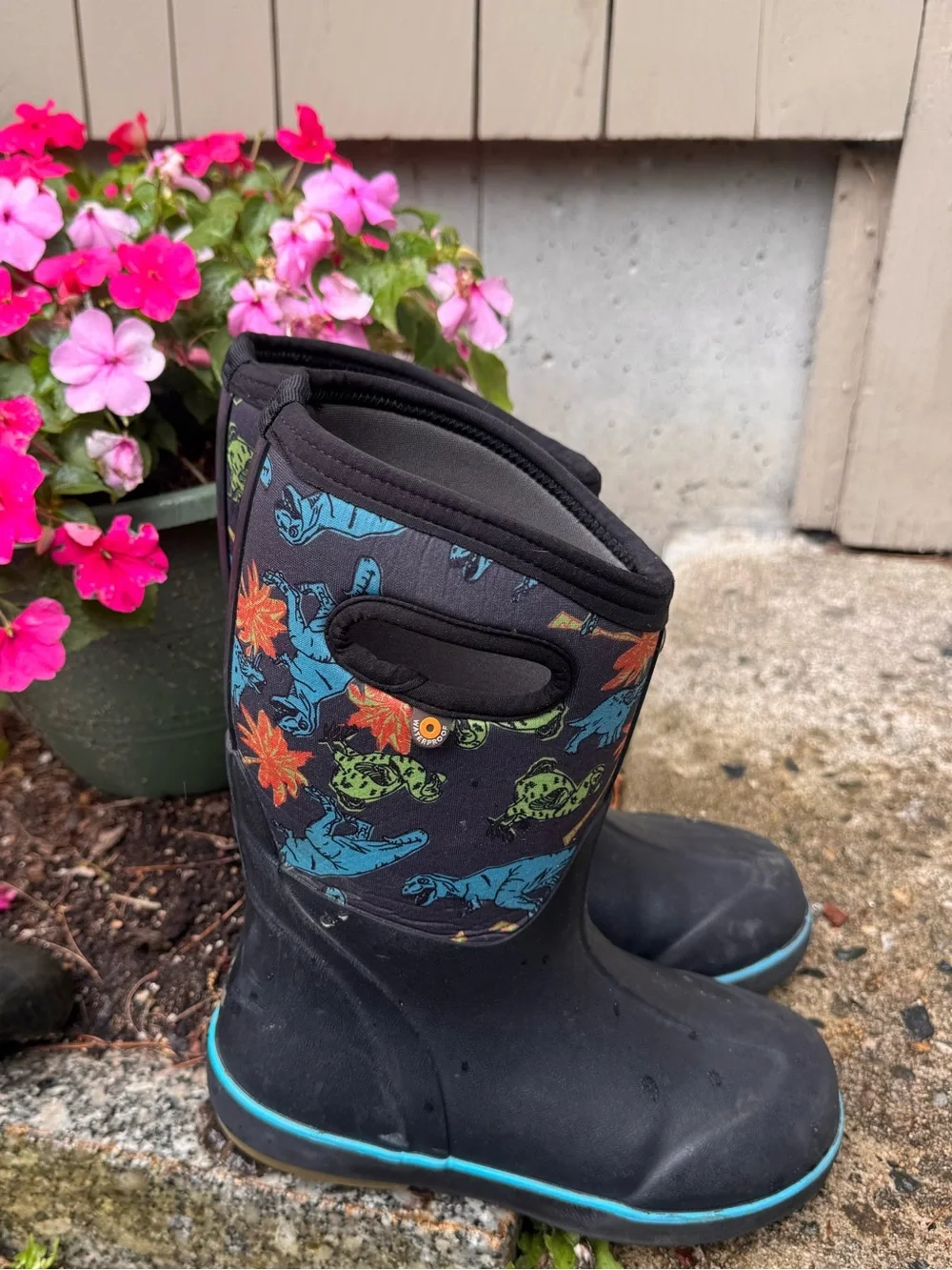 Bogs dinosaur print boots size 3-4 Black Boots